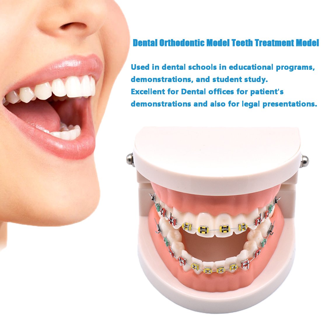 Dental teaching model suitable for dentist education