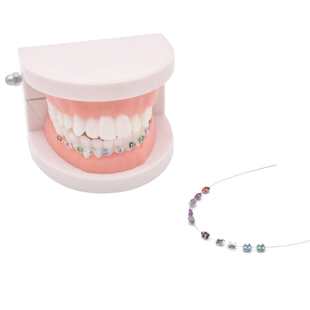 Orthodontic teaching props for explanations and demonstrations