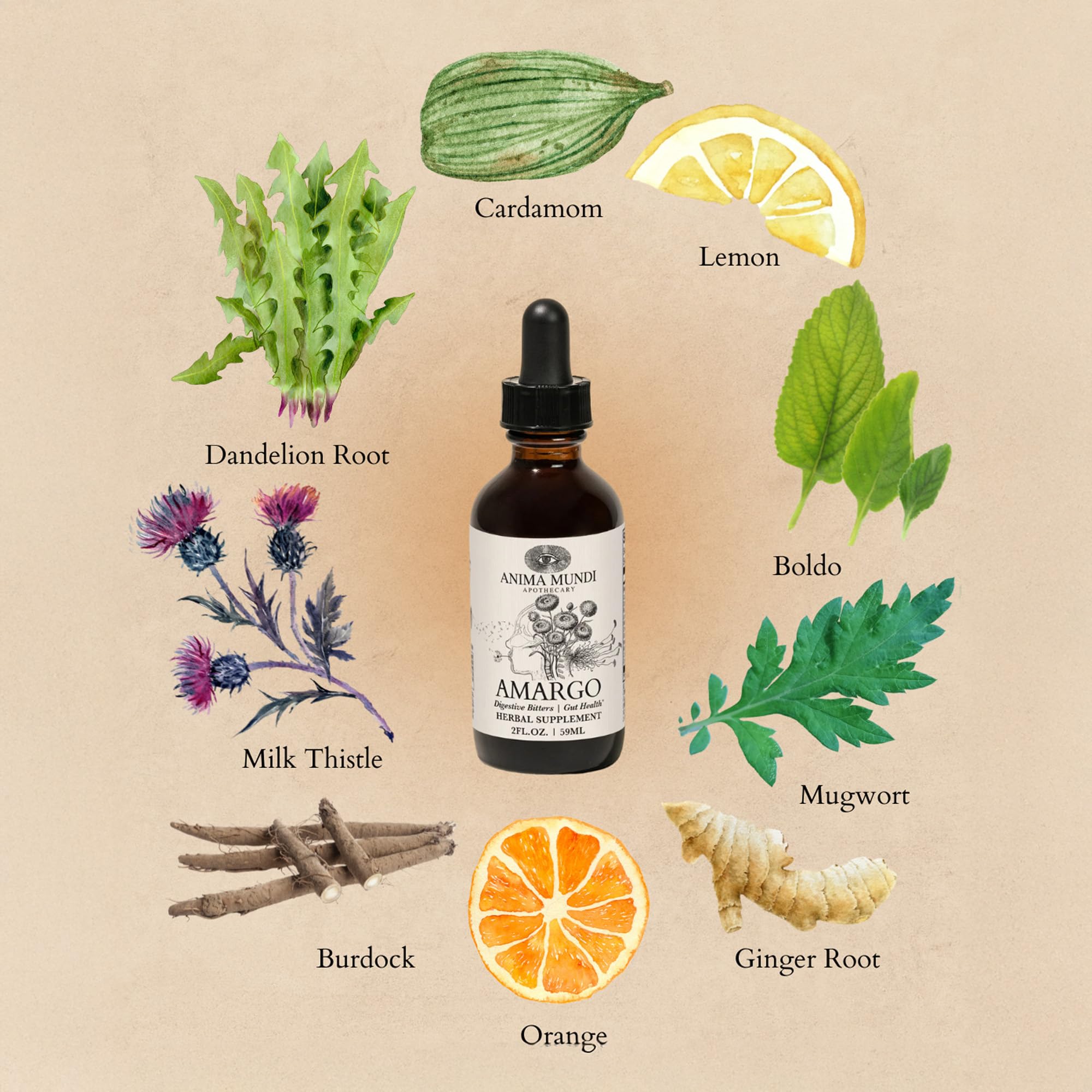 Fresh herbs and botanicals laid out for Amargo Digestive Bitters