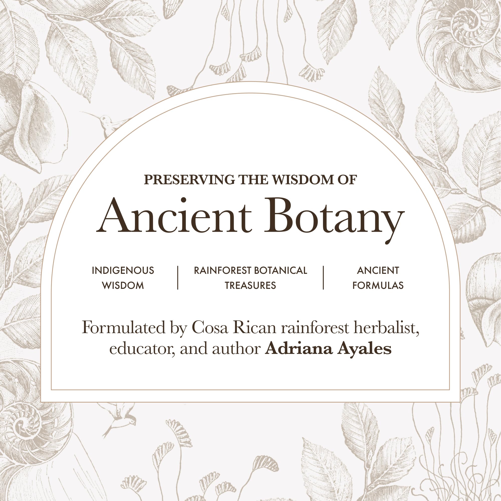 Anima Mundi Amargo workshop scene reflecting handcrafted, ethical production values.