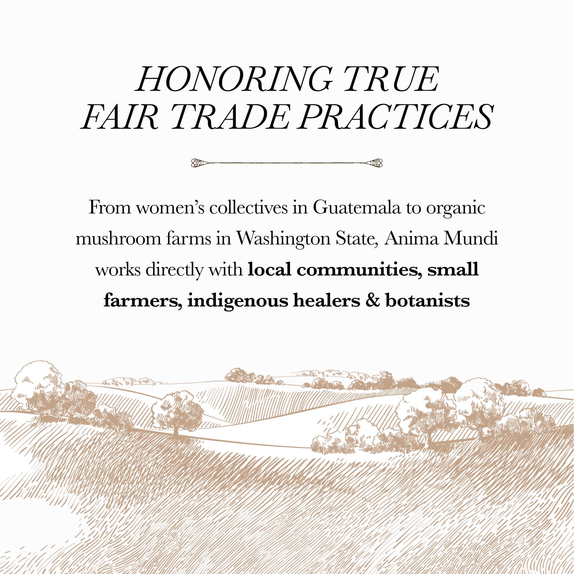 Handmade in Brooklyn by Herbalists