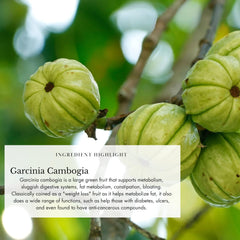 Close-up of ingredients including cranberry and ginger