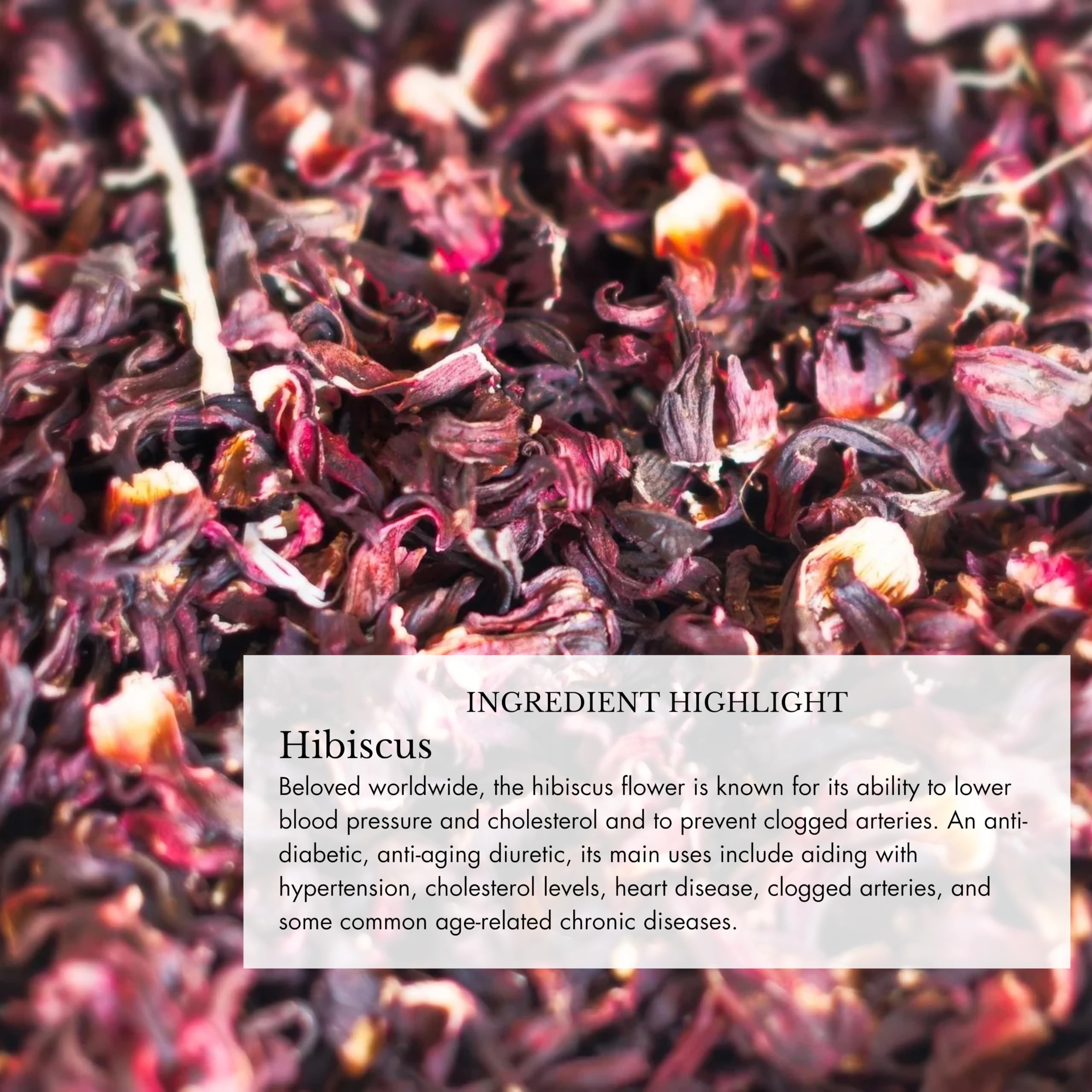 Ingredients close-up for Cranberry, Garcinia, Mangosteen and Ginger