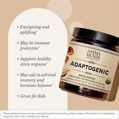 Close-up of mushroom cacao blend powder