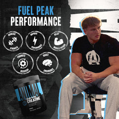 Dosing instruction showing 2 capsules with a meal