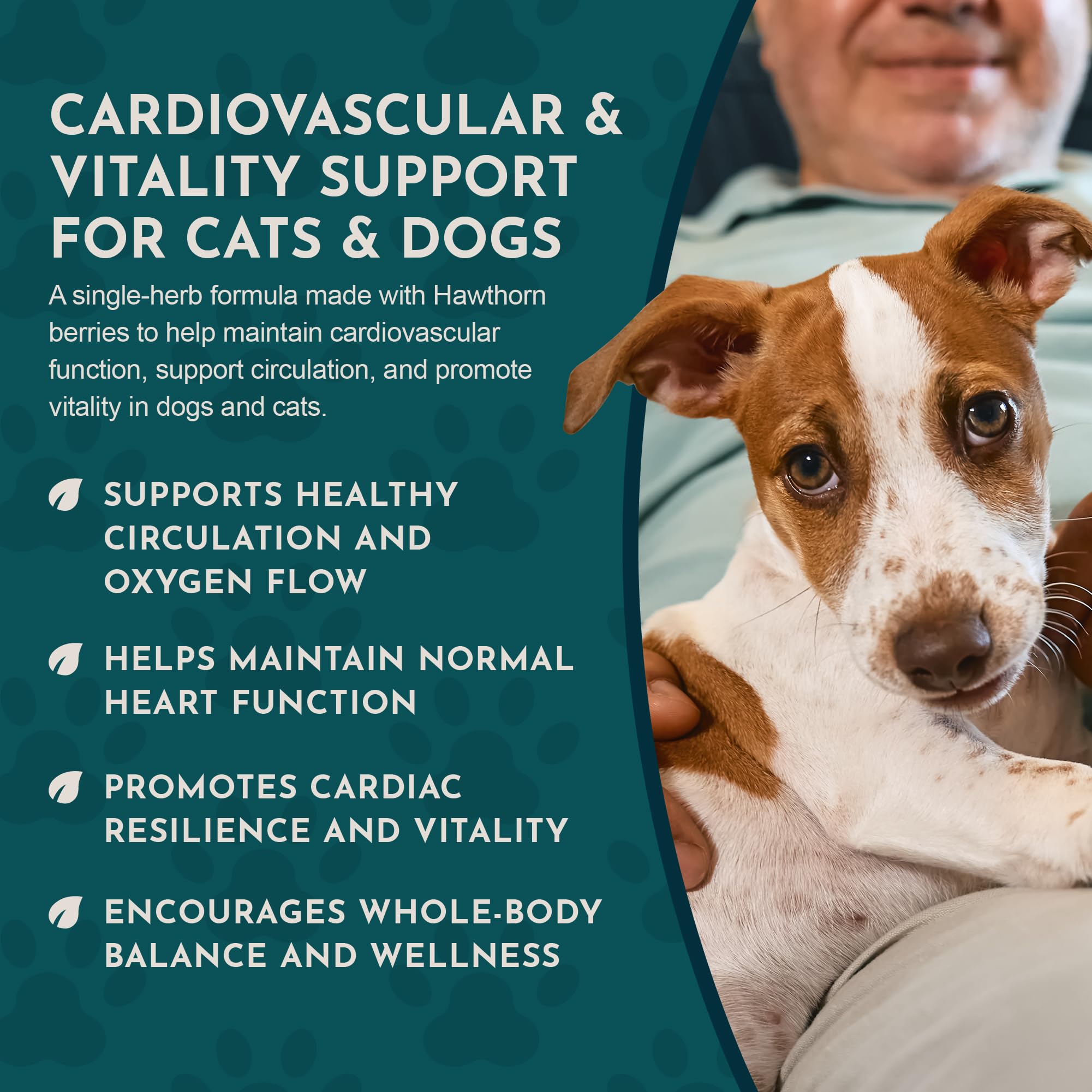 Product shot - Hawthberry 1oz bottle on white