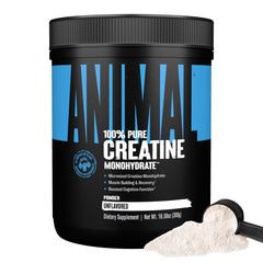 Front view of Animal Creatine Monohydrate Powder 300g tub