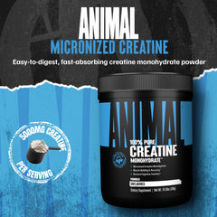 Scoop with 5g of creatine monohydrate powder