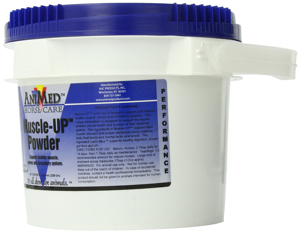 ANIMED MuscleUp Powder bag-ladle close-up highlights electrolyte-rich support during endurance sessions.