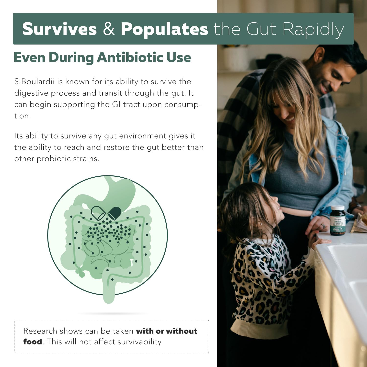 Probiotic supporting gut health during antibiotic use