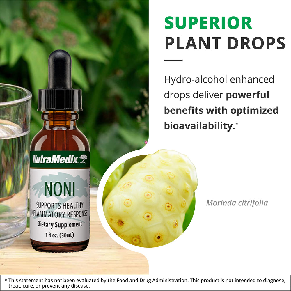 Illustration of Noni antioxidant benefits