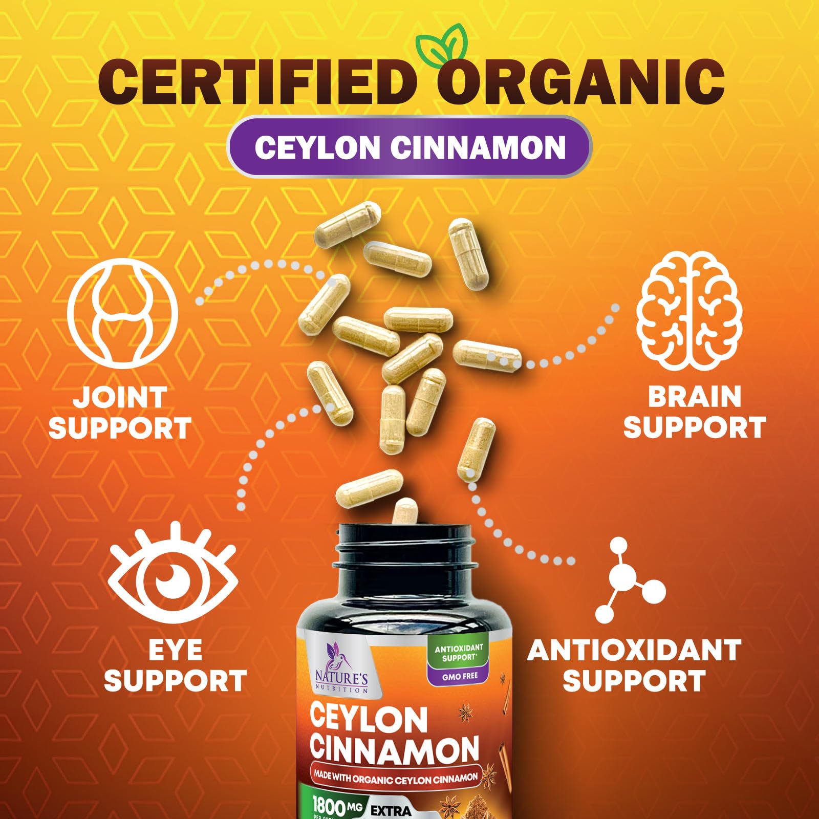 Antioxidant support symbol with cinnamon capsules