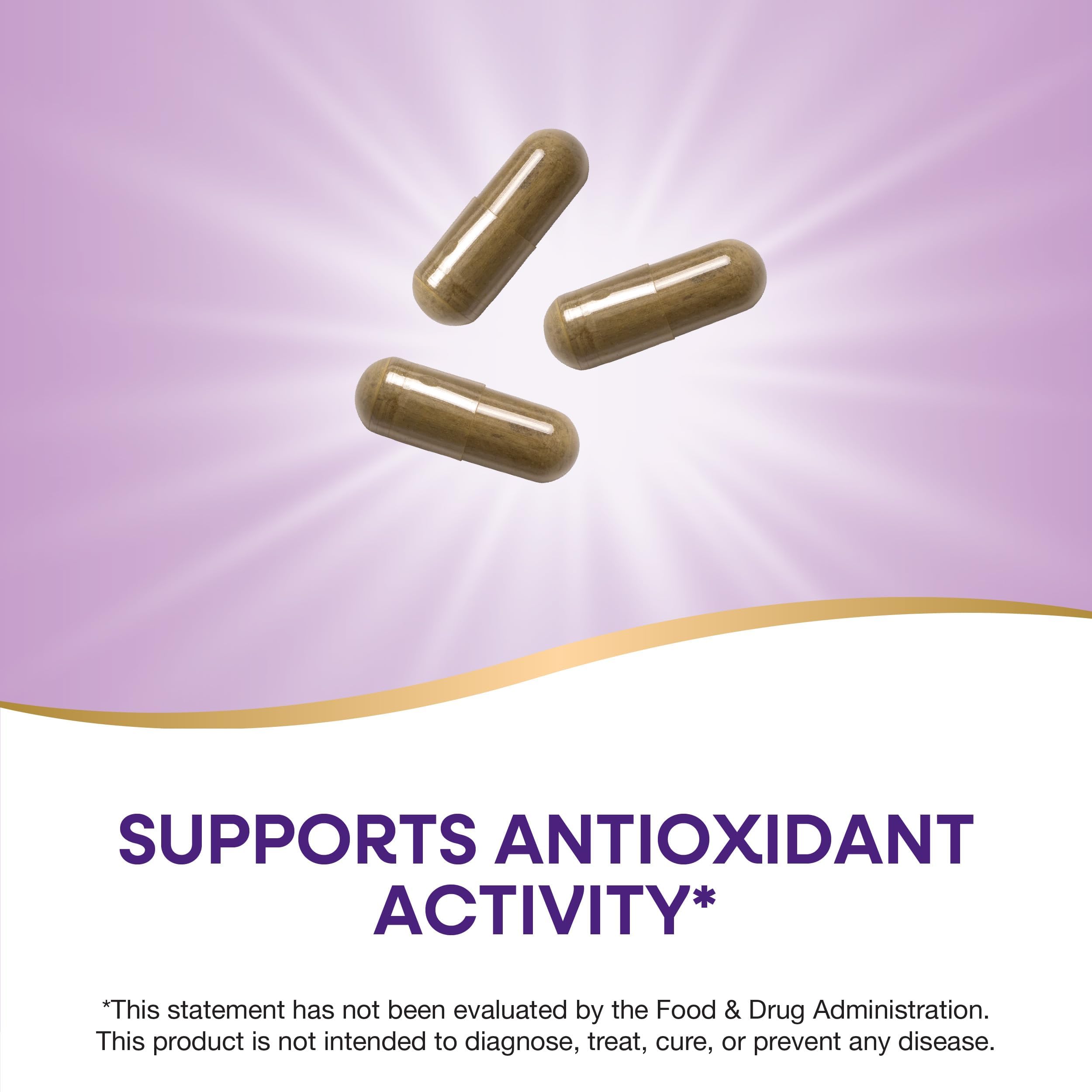 Olive leaf capsules providing antioxidant support