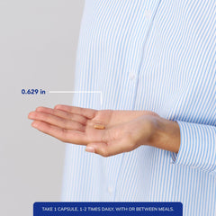 Schematic showing antioxidant support and vitamin regeneration