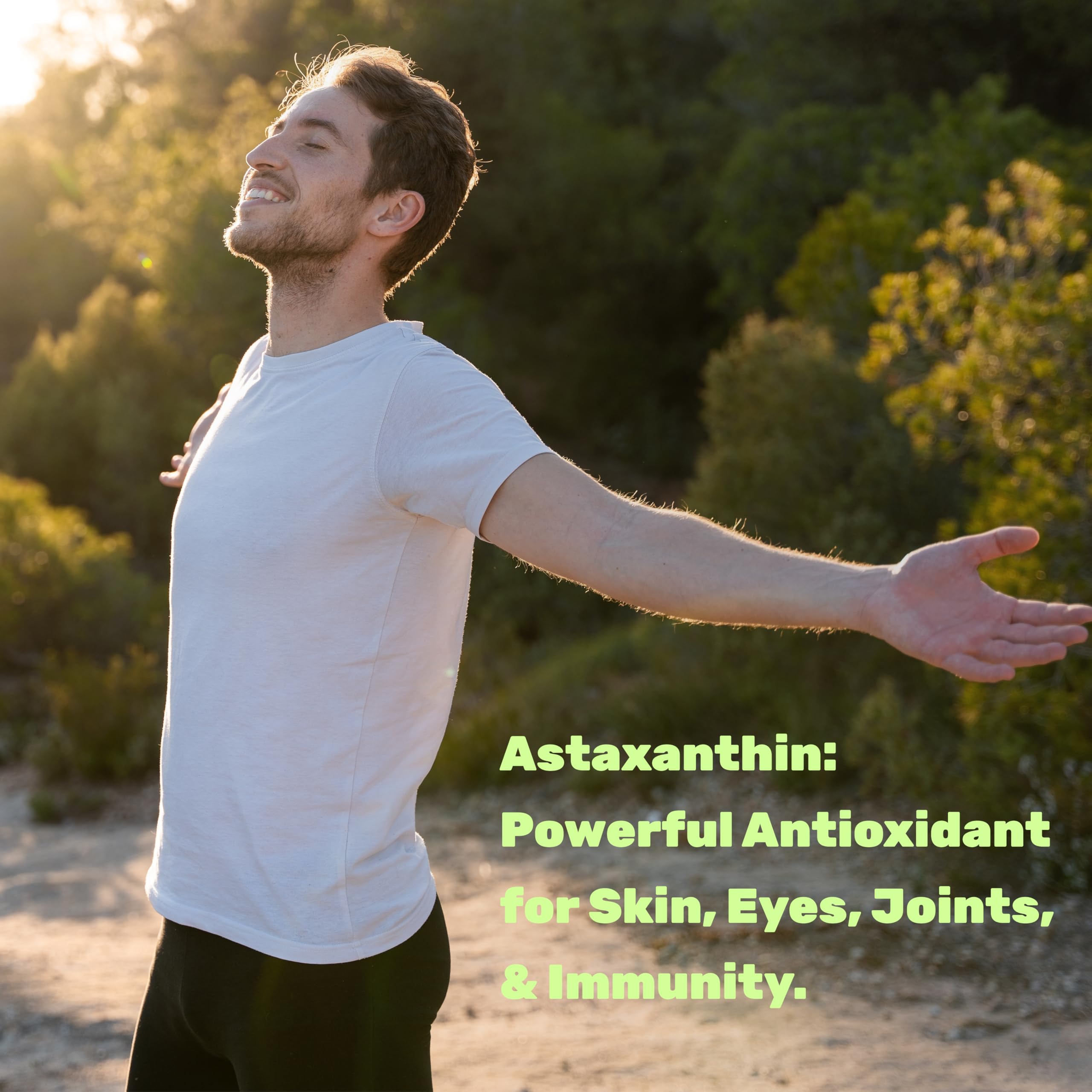 Antioxidants and carotenoids-rich formula