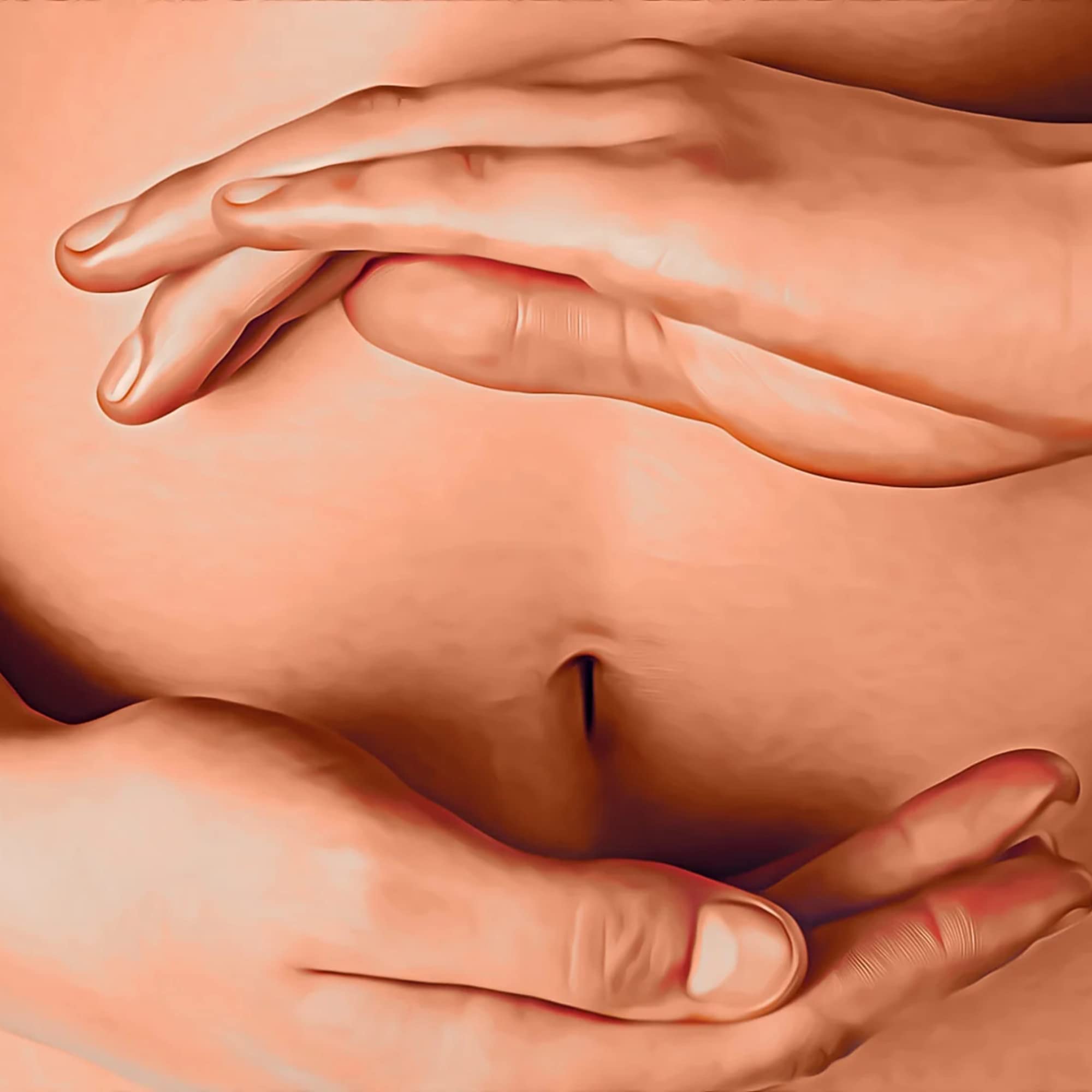 Digestive support ingredients of Antisid: Slippery Elm, Marshmallow Root, Licorice