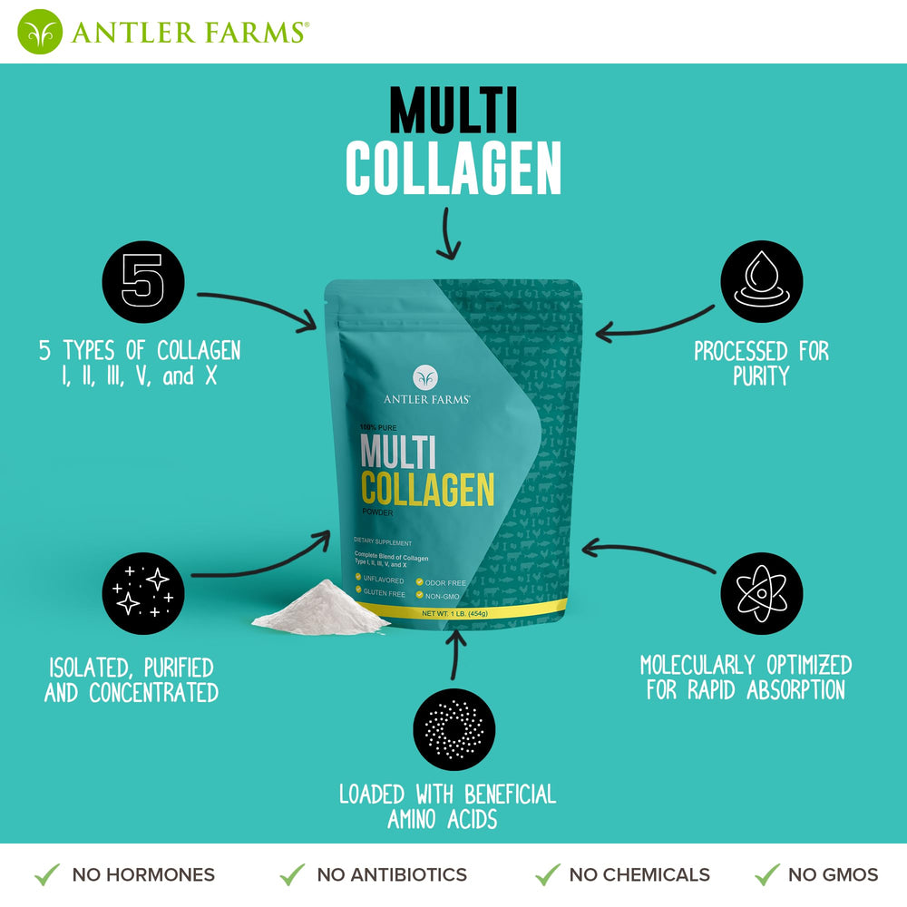 Graphic highlighting benefits for skin, hair, digestion and joints