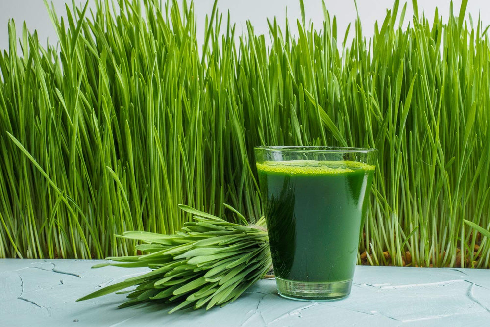 Wheatgrass packaging showing organic and vegan certifications