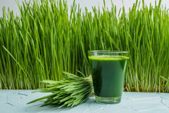 Wheatgrass packaging showing organic and vegan certifications