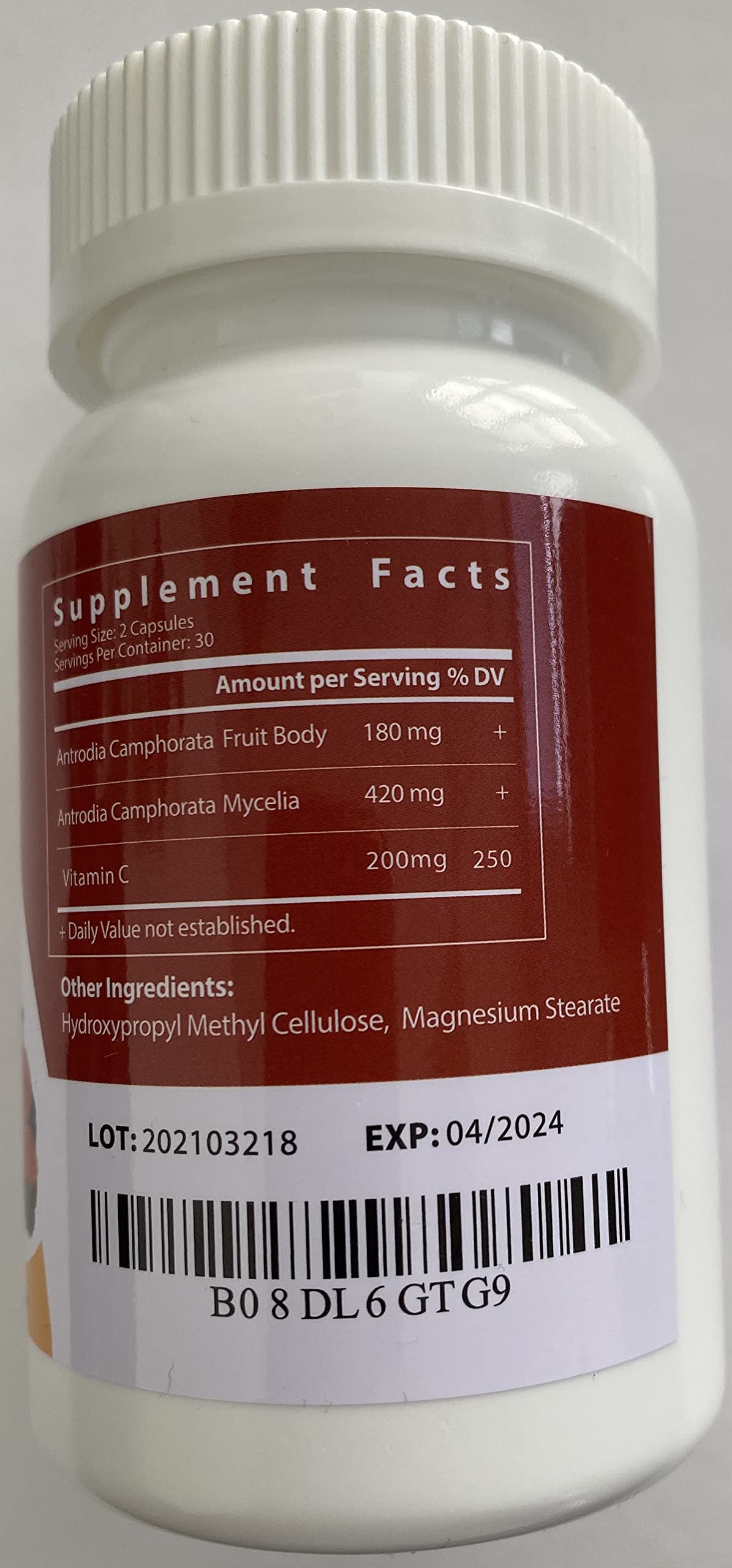Close-up of Antrodia Camphorata XL capsules