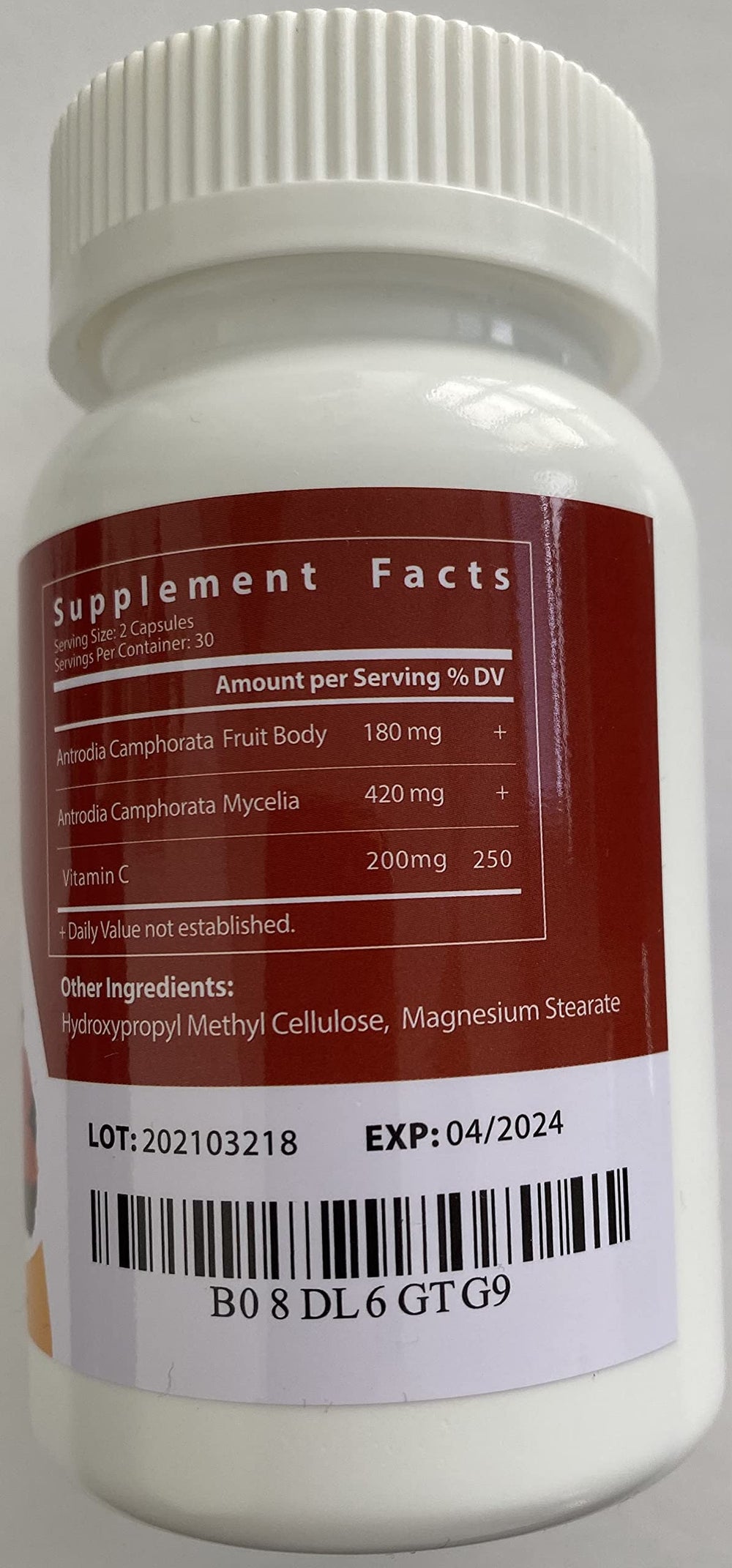 Close-up of Antrodia Camphorata XL capsules