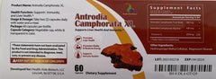 Fruiting body and mycelia components of Antrodia Camphorata XL