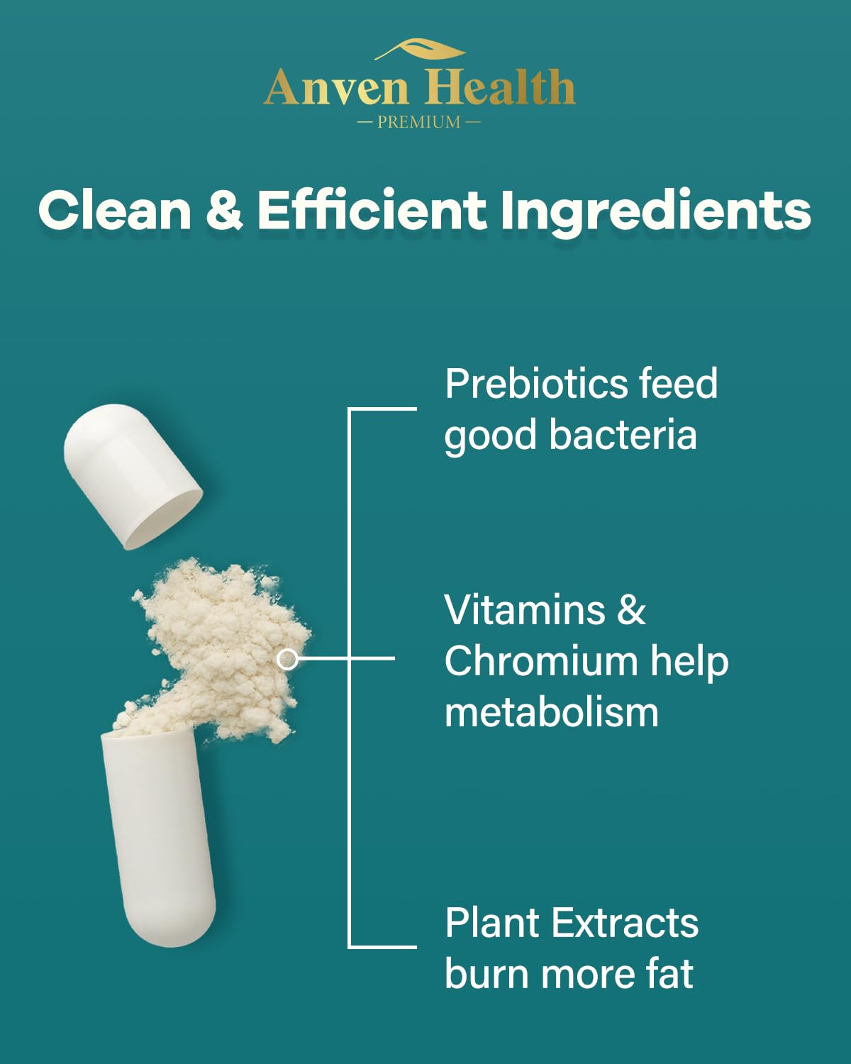 Ingredient chart featuring Akkermansia, prebiotics, and vitamins