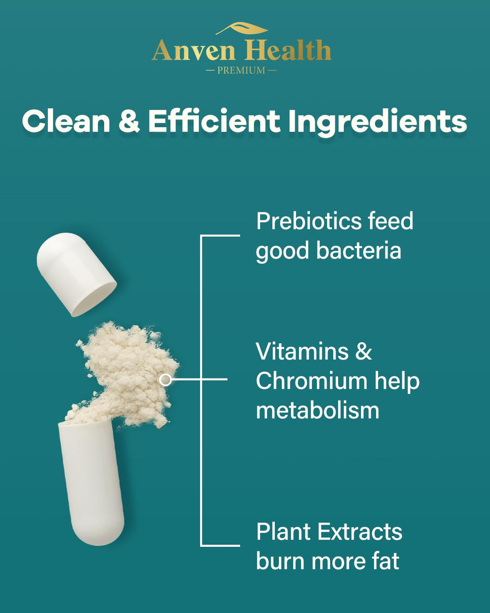 Ingredient chart featuring Akkermansia, prebiotics, and vitamins