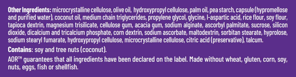 Lifestyle image representing foundational health and energy