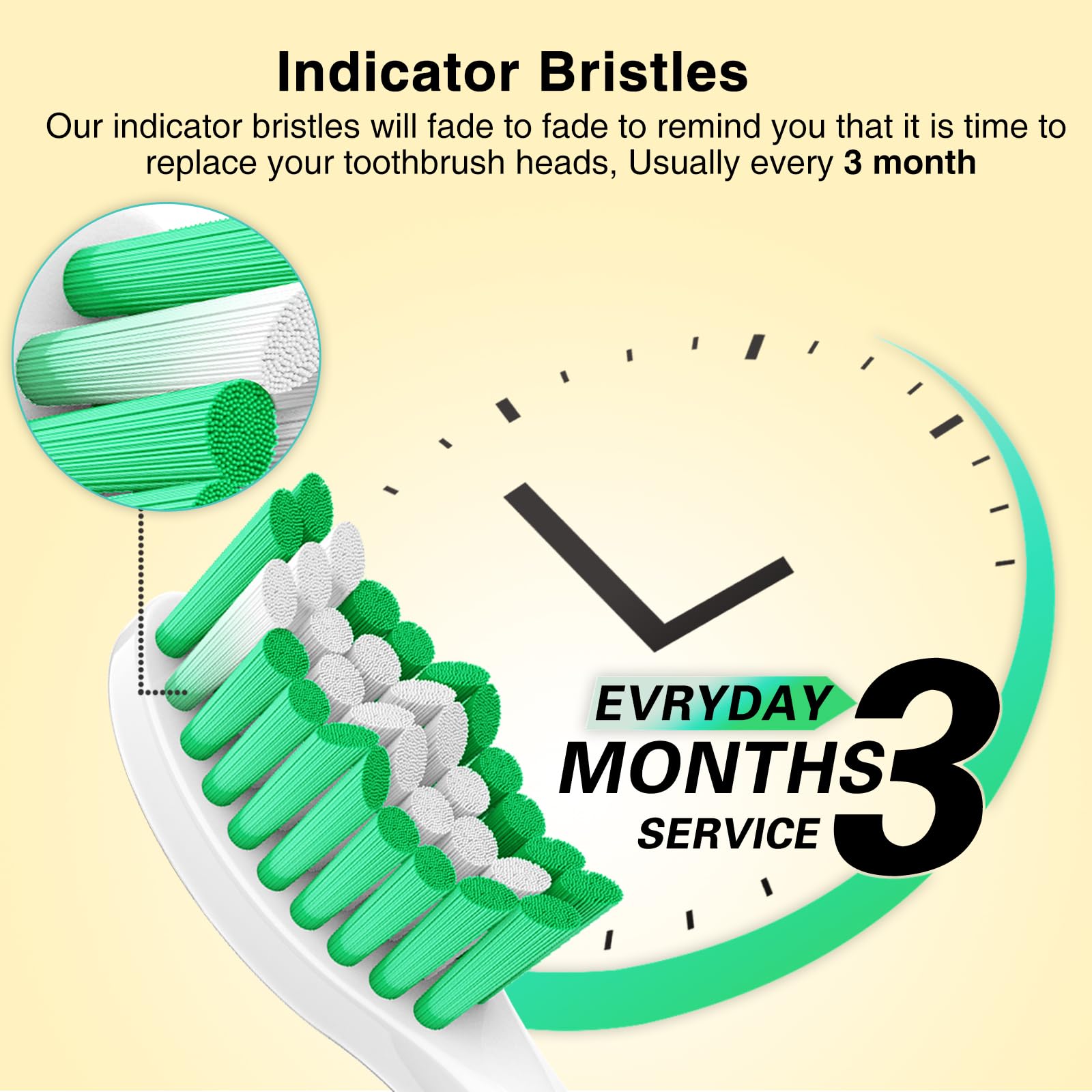 High-quality bristles effectively remove plaque and promote gum health
