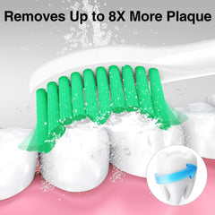 End-rounded Dupont Tynex bristles on Aoremon head