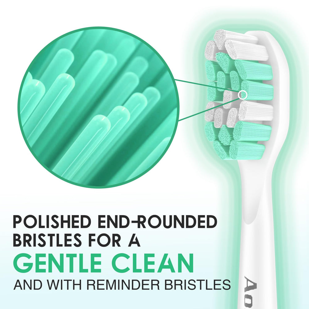 Premium DuPont bristles on replacement head
