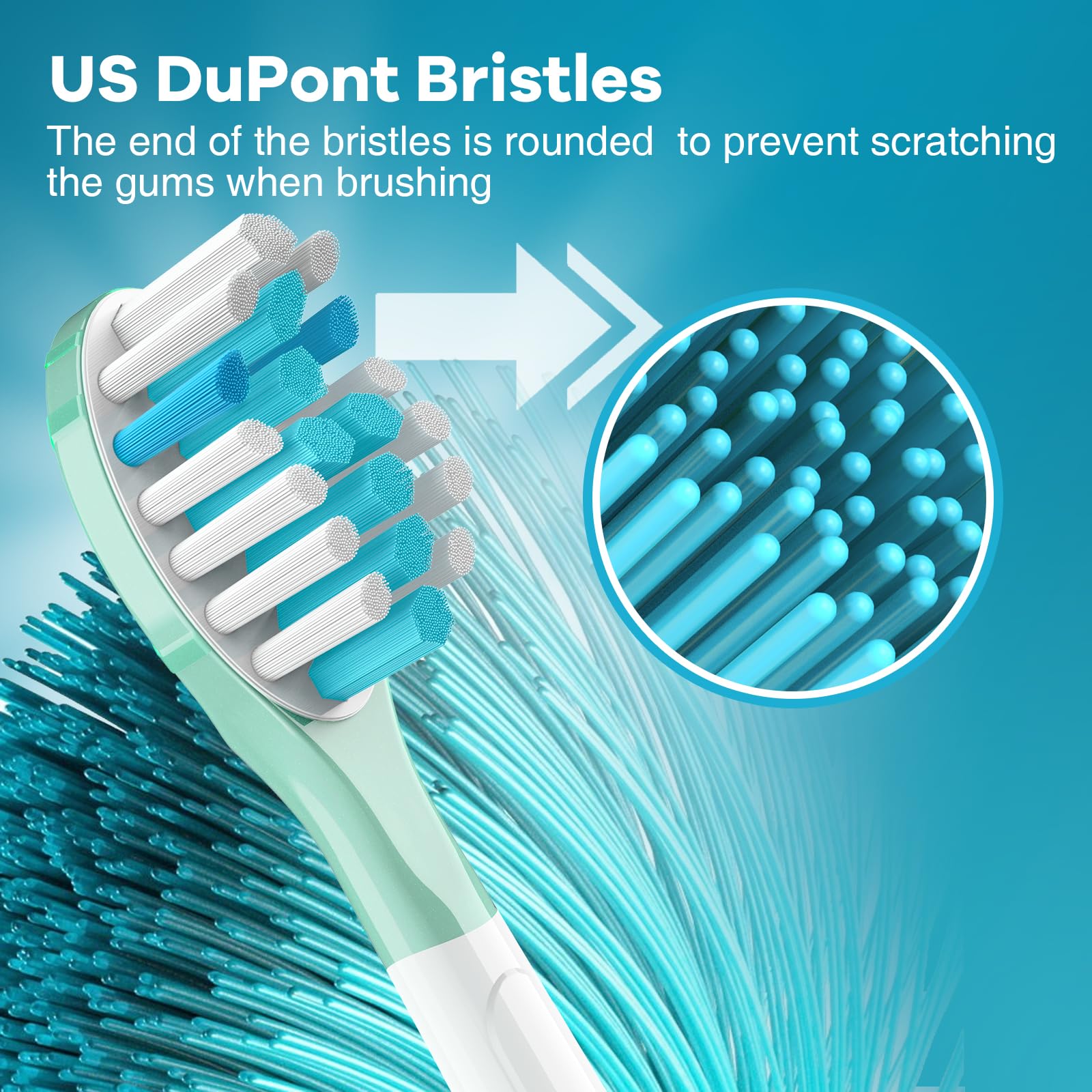 Blue indicator bristles fade to signal replacement every 3 months