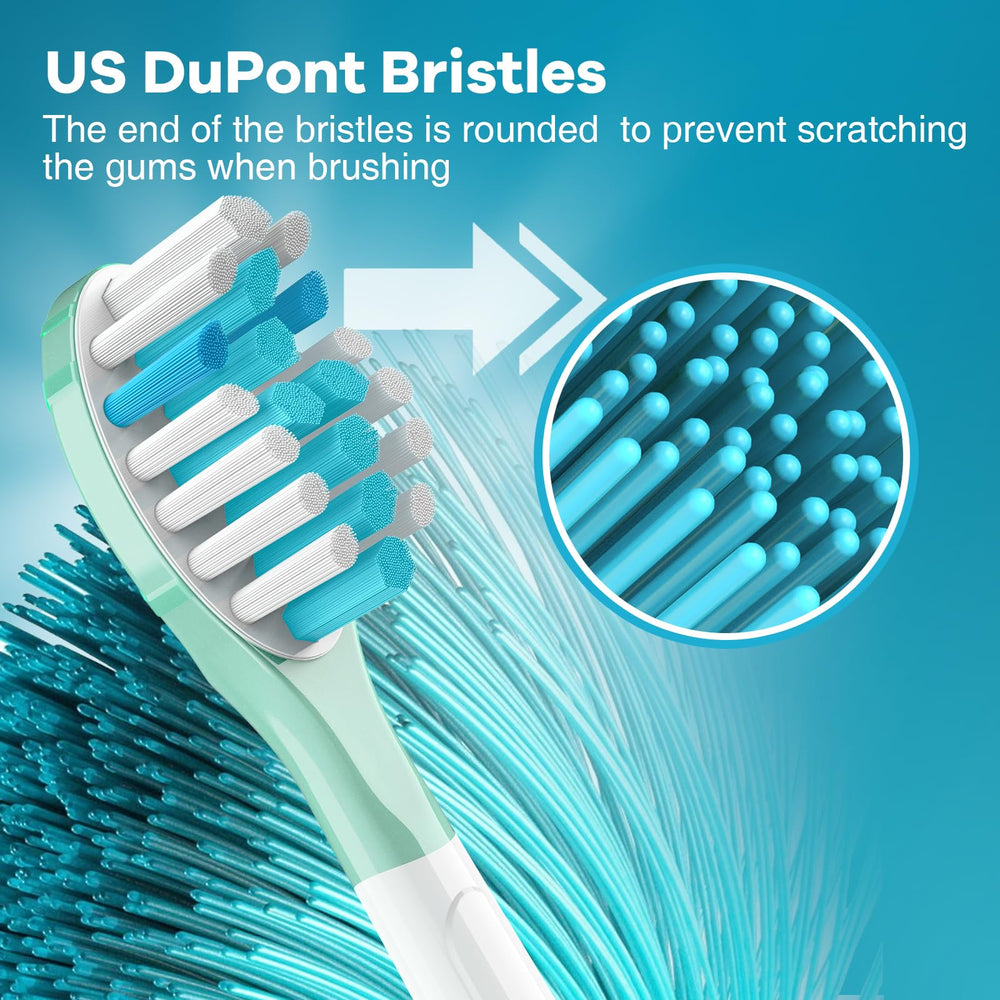 Blue indicator bristles fade to signal replacement every 3 months