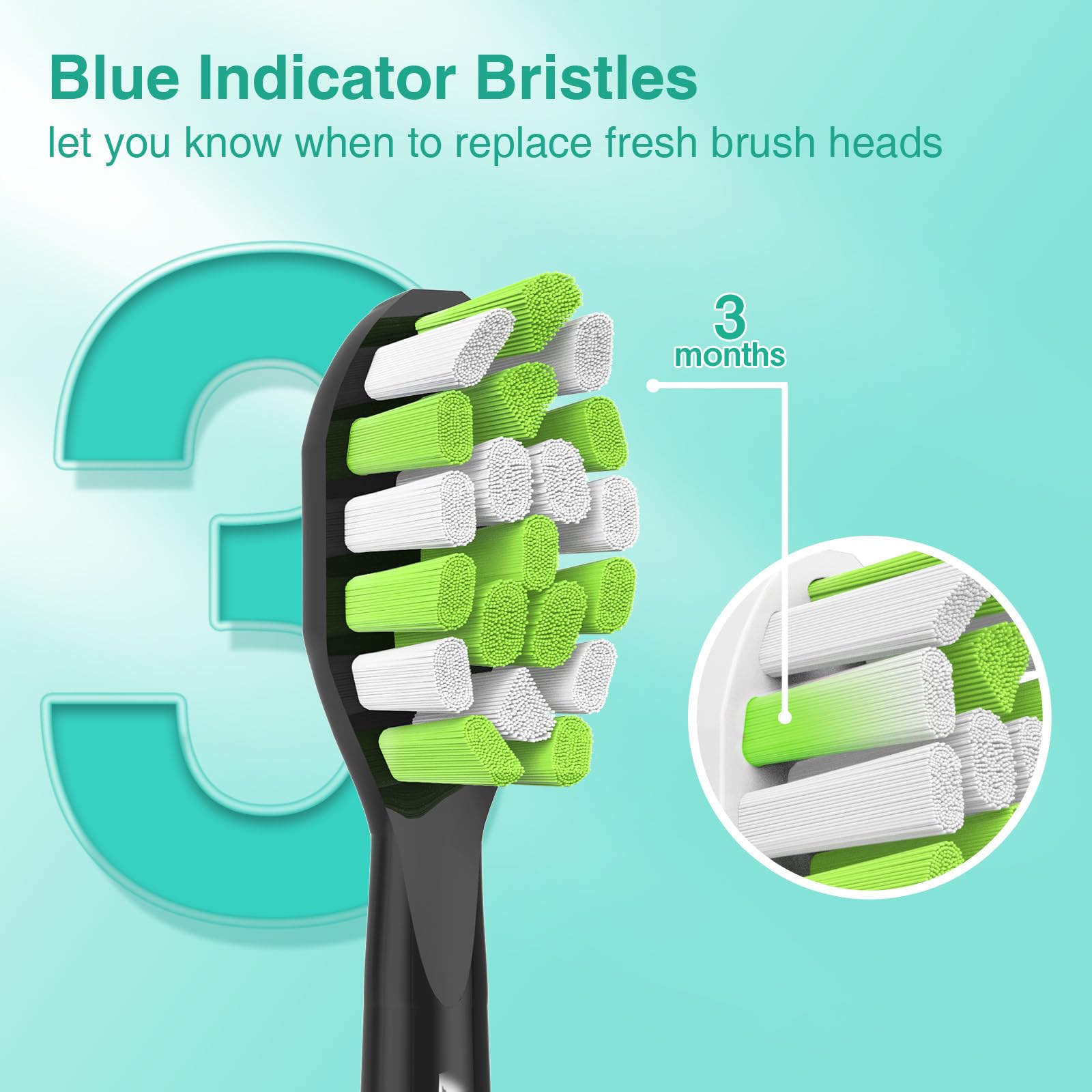 Curved bristle design for reaching back molars and precision cleaning