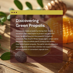 Sourcing region Minas Gerais, Brazil for green propolis