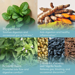 Herbs included in Rescue Bloat: peppermint, lemon balm, ginger, turmeric, caraway, coriander, nigella seeds