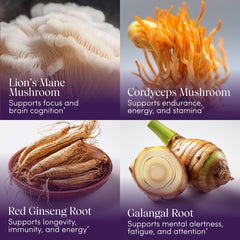 Close-up of Lion's Mane and Cordyceps ingredients