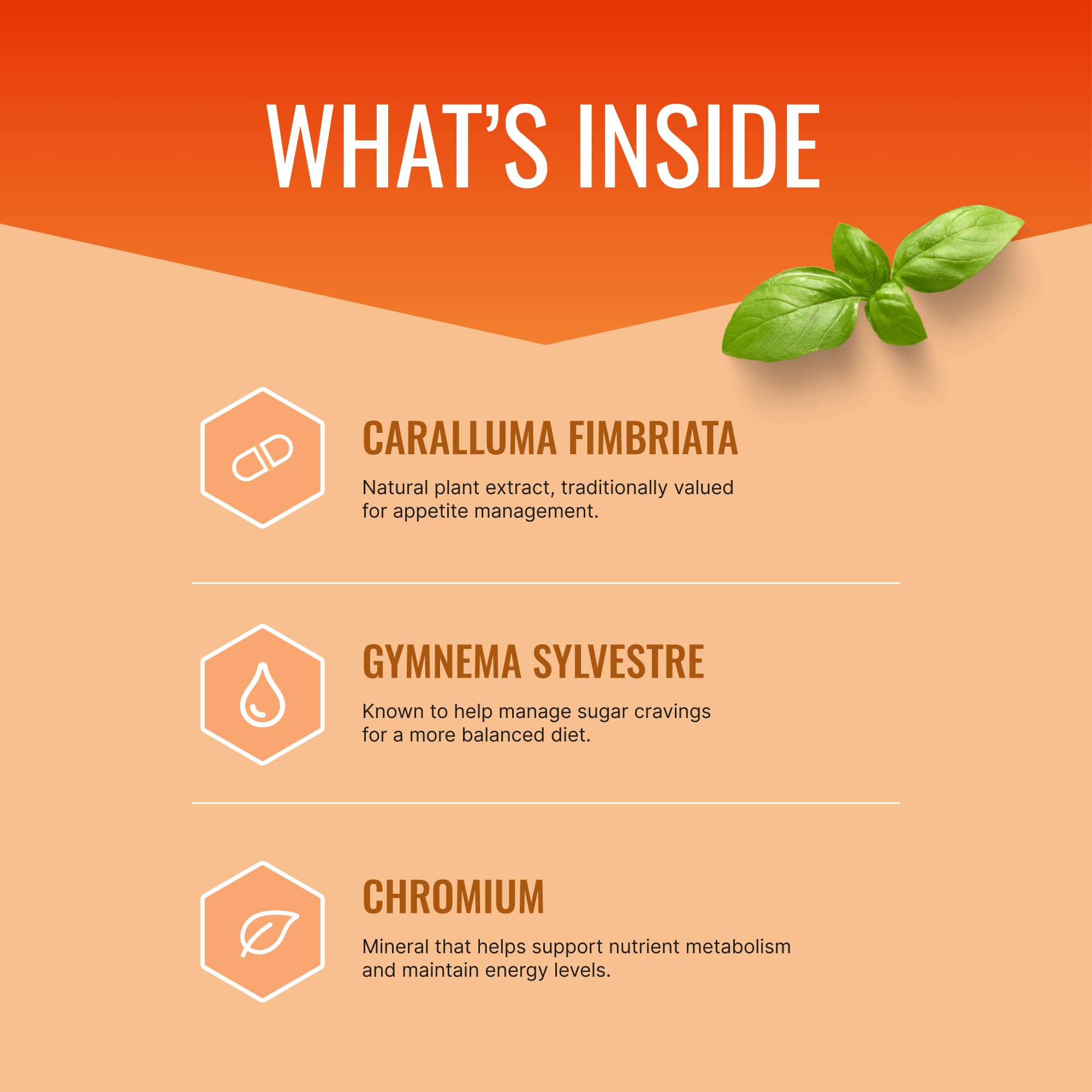 Close-up of ingredients listing on packaging