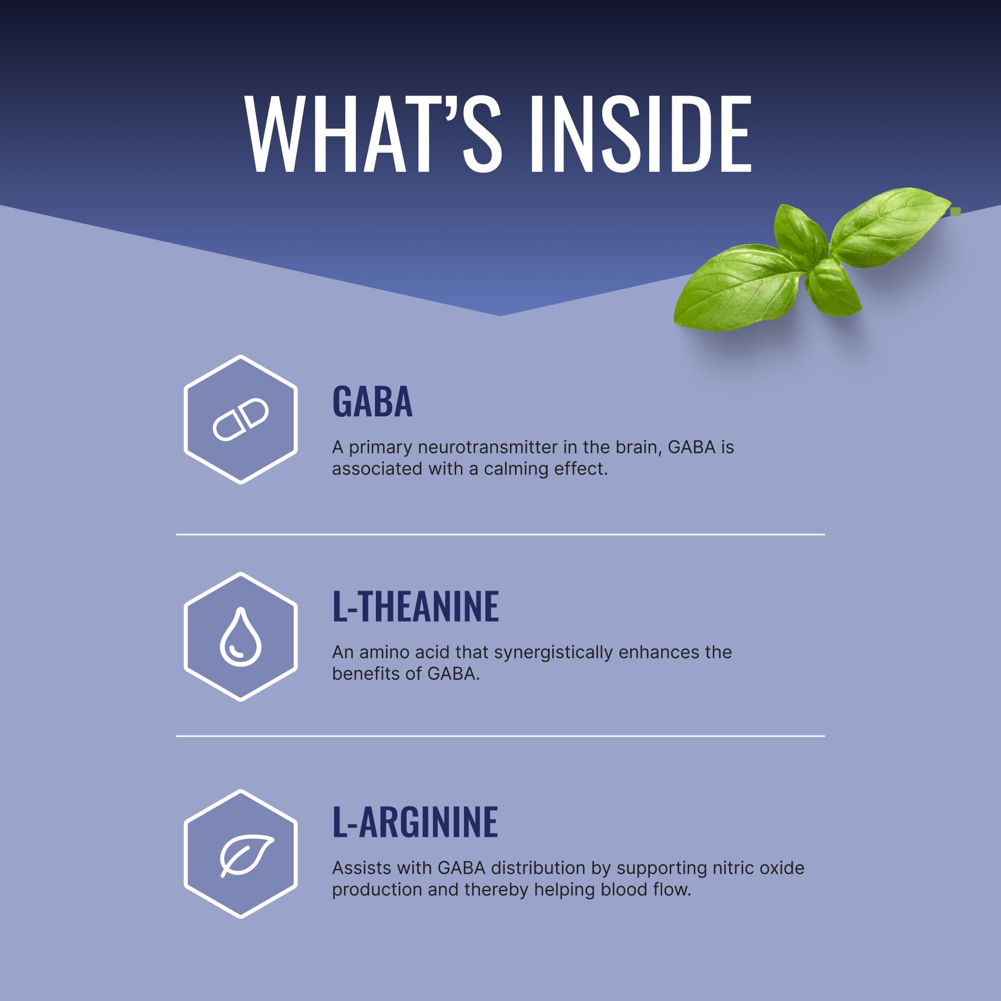 GABA+ ingredients highlighting GABA 600 mg and BioPerine