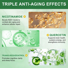 GMP-certified lab seal and product labels