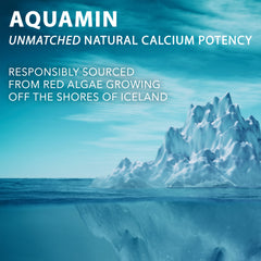 Graphic highlighting Aquamin Icelandic red algae as the mineral source