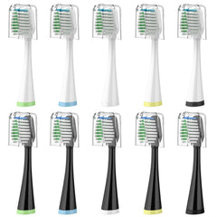 Replacement brush heads for AquaSonic Duo Series and Home Dental Center