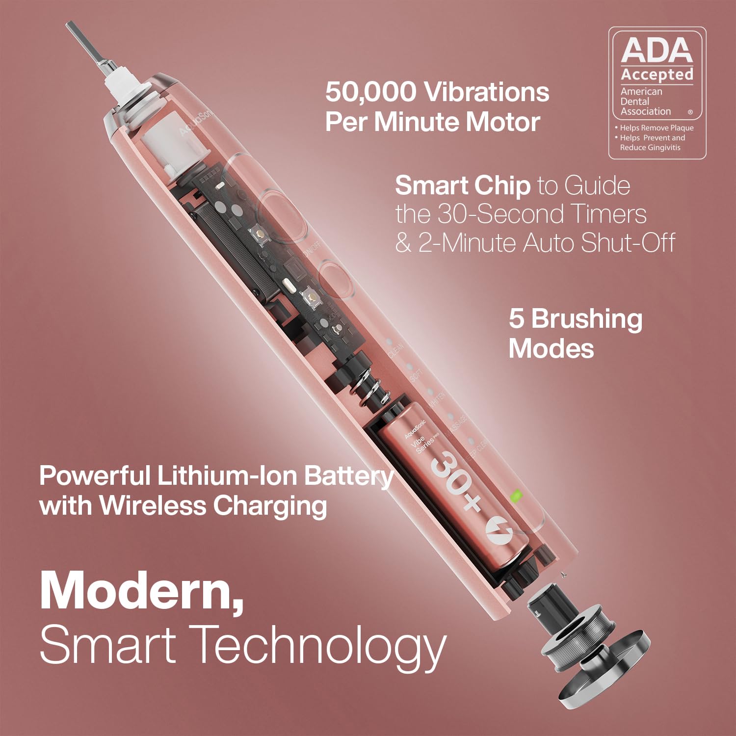 Close-up of the 50,000 VPM motor and bristles