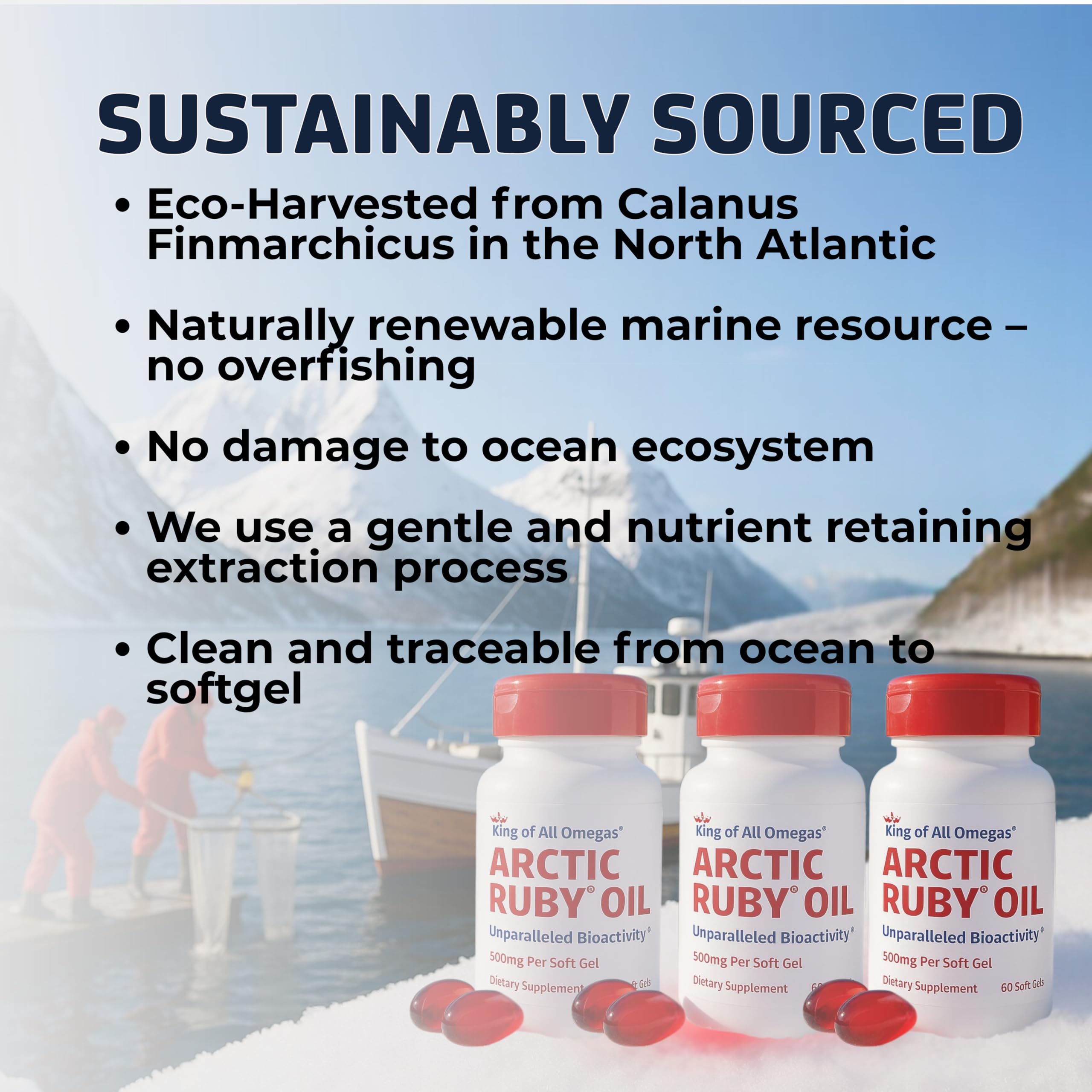 Arctic Ruby Oil three-pack packaging with 60 softgels