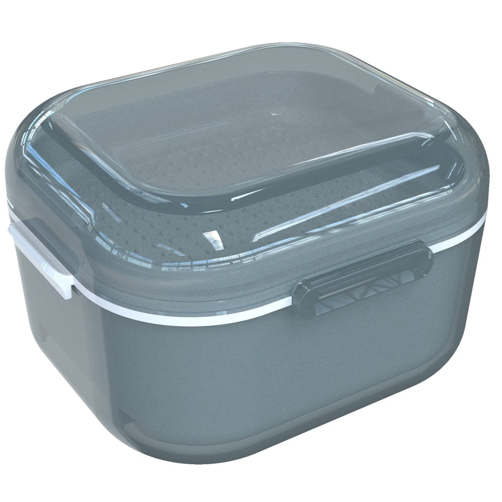 ARGOMAX denture case with translucent housing and hingeless lid