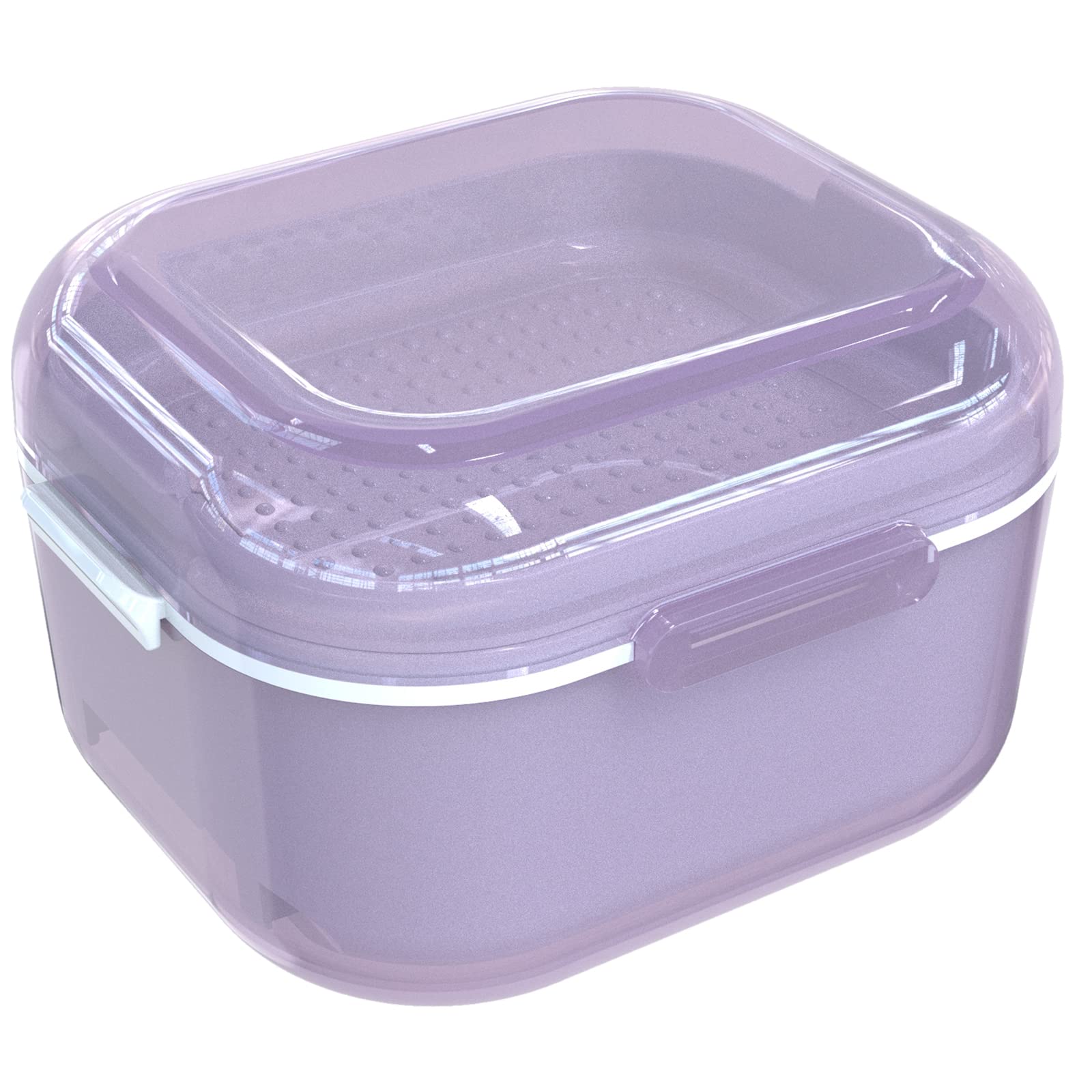 Front view of ARGOMAX Denture Case in purple