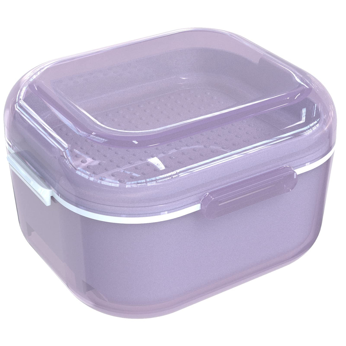 Front view of ARGOMAX Denture Case in purple