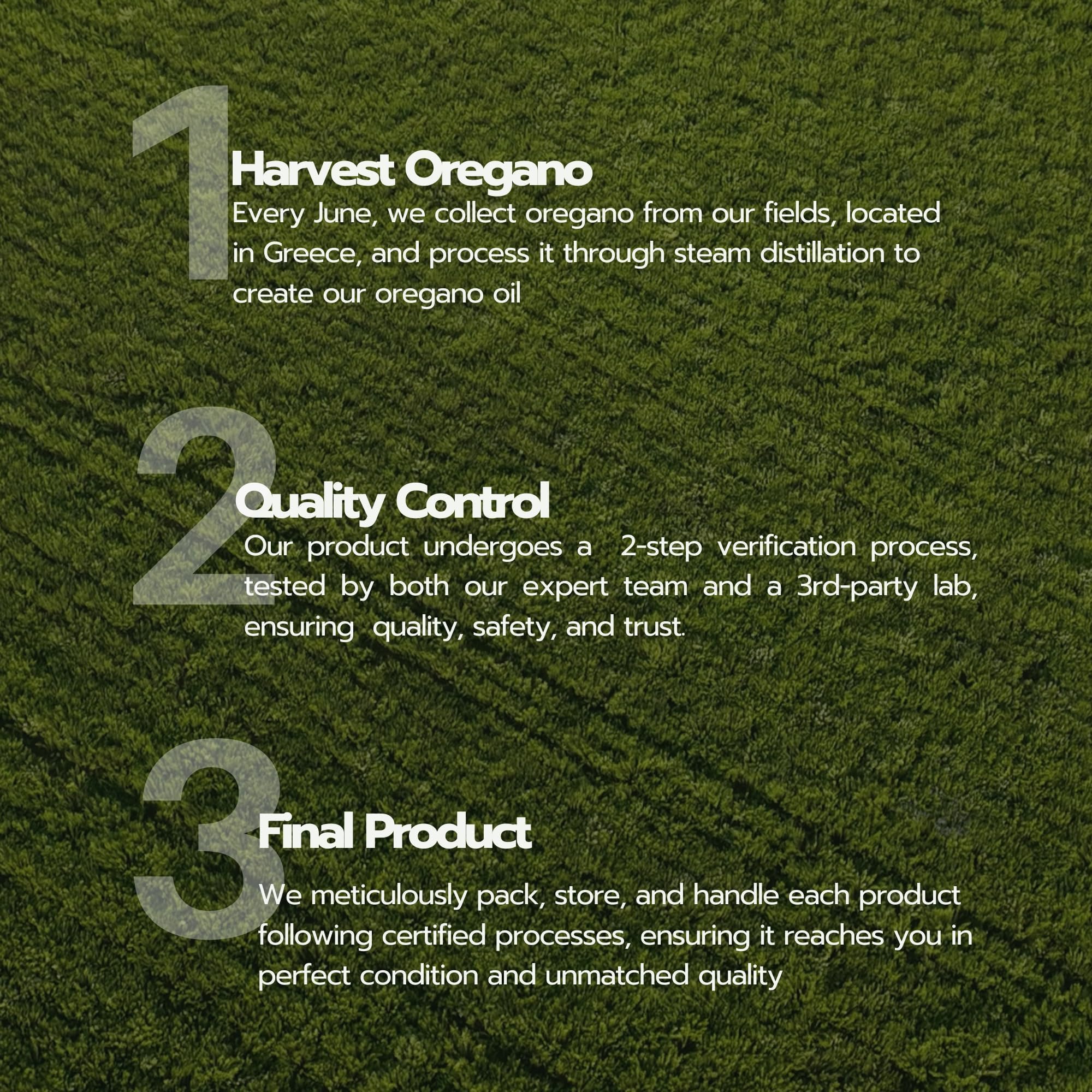 Oregano oil bottle with serving information (200 servings)