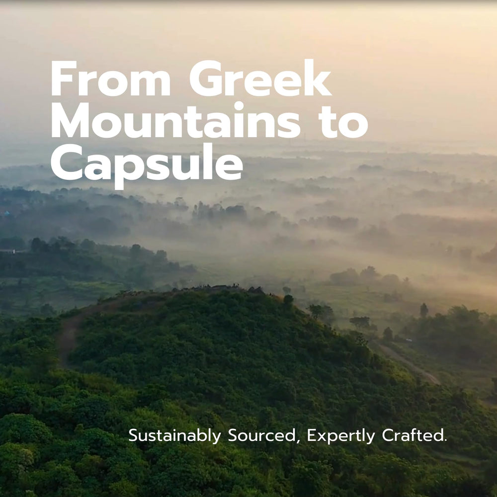 Sustainably sourced wild Greek oregano used in AROMAVITA capsules